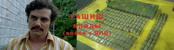 винт Галич