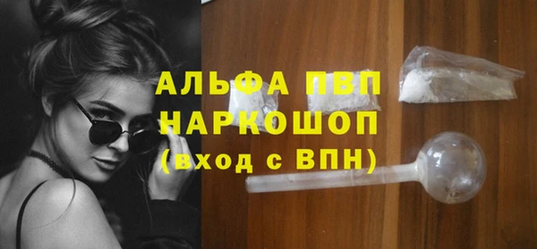 гидра Абаза