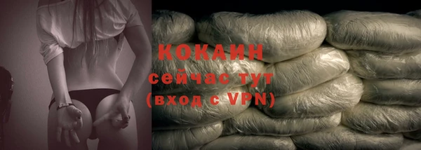 гидра Абаза