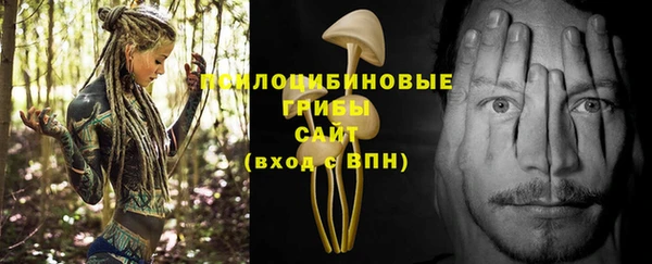 гидра Абаза